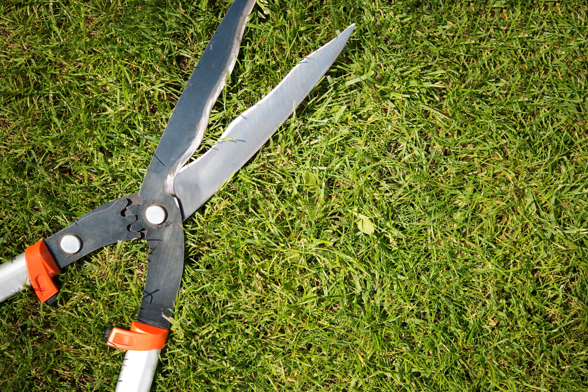 1920-gardener-scissors-on-the-grass.jpg