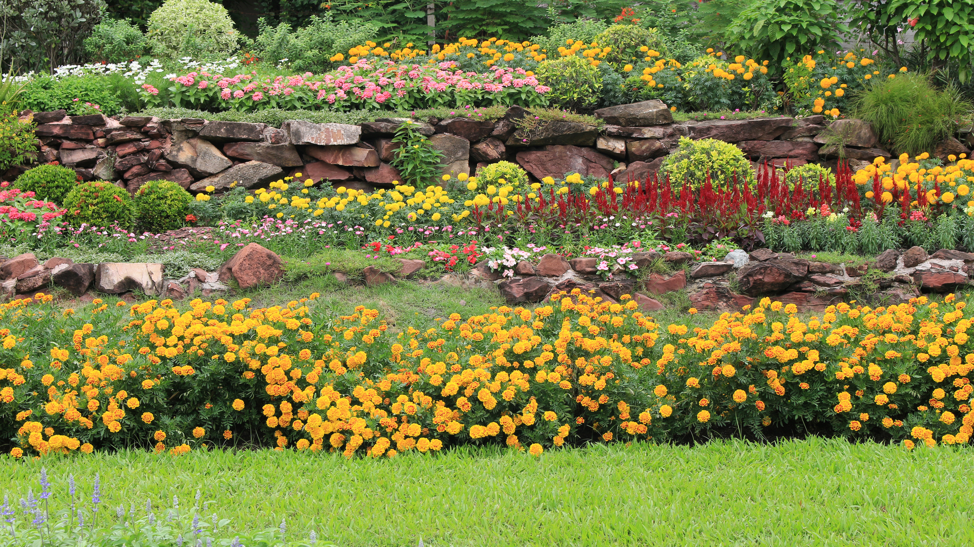 1920-multilayered-flowerbeds-in-garden.jpg