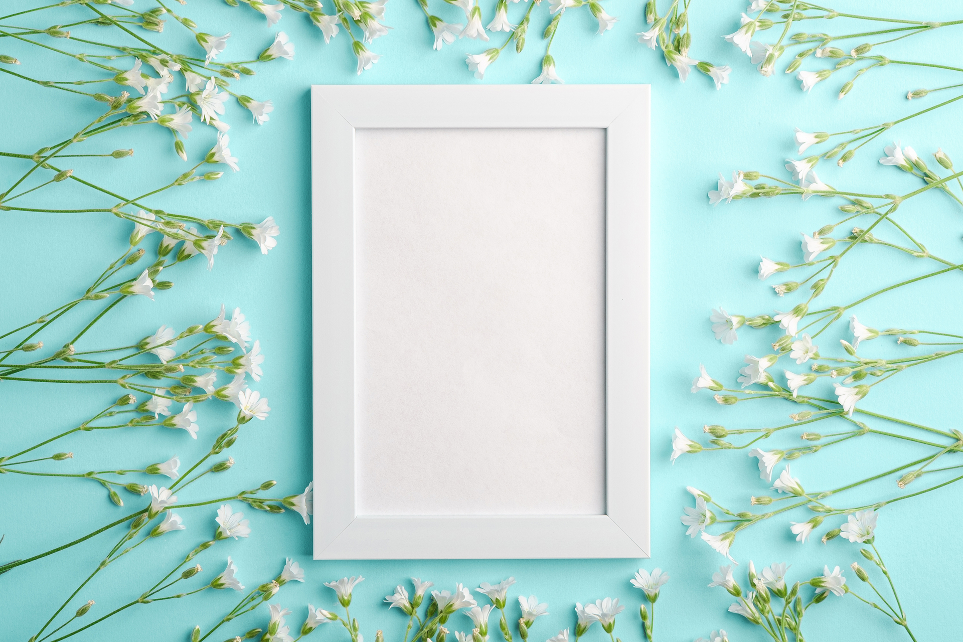 1920-white-empty-photo-frame-mockup-with-mouse-ear-chickweed-flowers-on-blue-background.jpg