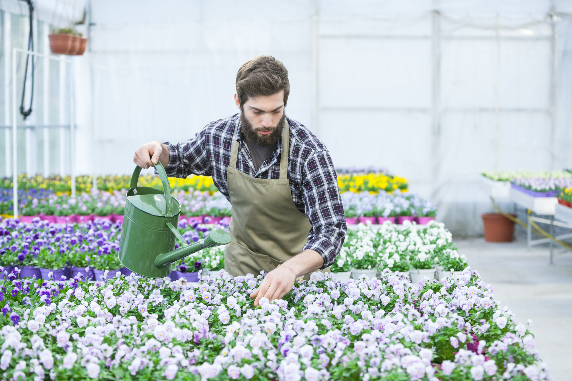 1920-young-florist.jpg