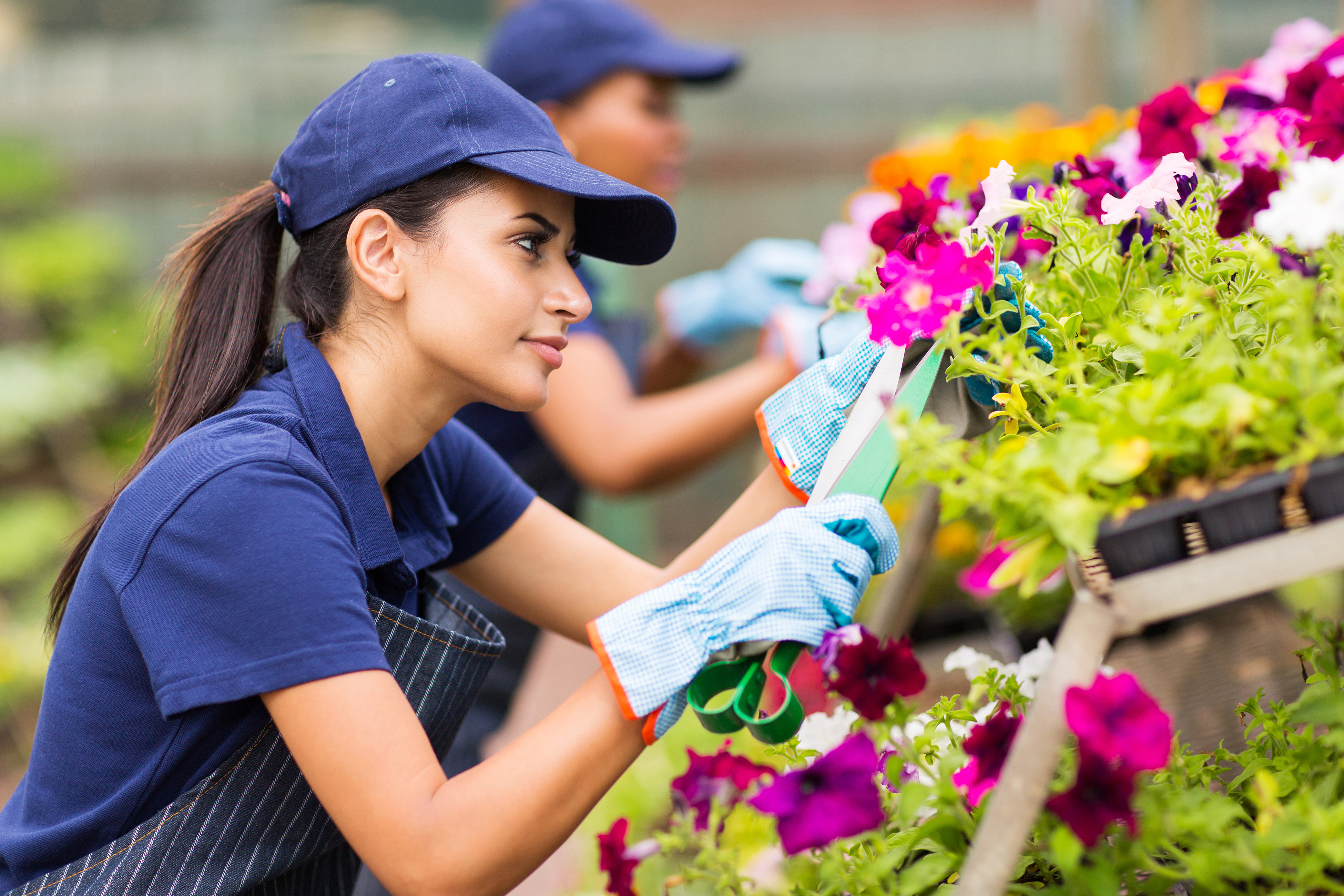 vecteezy_female-florist-trimming-flowers_753934.jpg